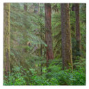 Search for recreation tiles Forest