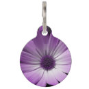 Search for daisy dog tags Daisies