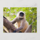 Search for third world postcards India