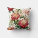 Search for protea cushions Waratah