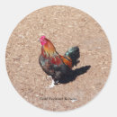Search for cockerels stickers Chicken