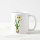 Search for spring bulbs mugs Botanical
