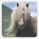Search for shetland pony stickers Horse
