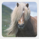 Search for mane stickers Pony