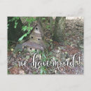 Search for birdhouse Change of address