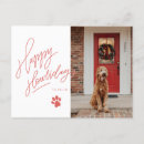 Search for for a vet christmas cards Pet