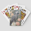 Search for parrot playing cards Pets