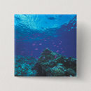 Search for great barrier badges Stuart westmorland