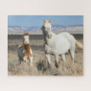 Search for wild horse puzzles Horses