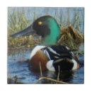 Search for anas tiles Waterfowl