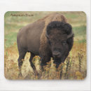 Search for a bison electronics Wildlife