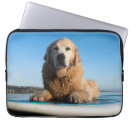 Search for surf board cases Beach