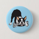 Search for boston terrier badges Canine