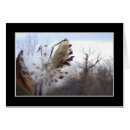 Search for pod postcards Bloom