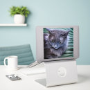 Search for cat tail stickers Pet
