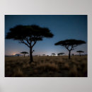 Search for african silhouette art Acacia tree