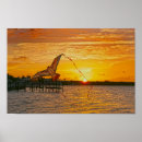 Search for kite flying posters Sunset