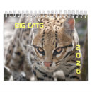 Search for big cat calendars Tiger