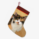Search for calico christmas stockings Cat