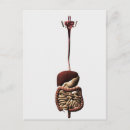 Search for digestion postcards Human intestines
