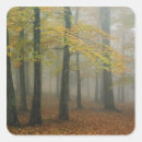 Search for foggy stickers Autumn