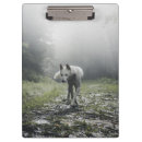 Search for husky clipboards Dog