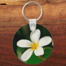 Search for frangipani key rings Plant