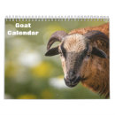 Search for goat calendars Lamb