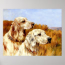 Search for english setter art Setters