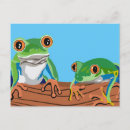 Search for tree frog postcards Nature