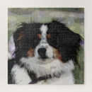 Search for australian shepherd gifts Herding