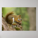 Search for halifax posters North america