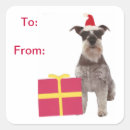 Search for schnauzers stickers Miniature schnauzer
