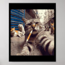 Search for gangster posters Cats