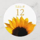 Search for circle table cards Round