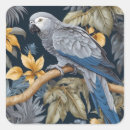 Search for african grey stickers Animal