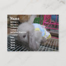 Search for kawaii business cards Rabbit