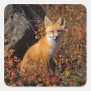 Search for vulpes stickers Red fox