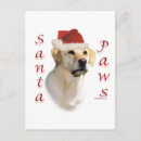 Search for yellow labrador retriever christmas cards Animals