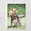 Search for kit cards Animals in the wild