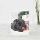 Search for labrador thank you cards Retriever