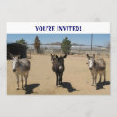 Search for donkey birthday invitations Cute