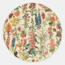 Search for garden plant stickers Illustration