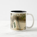 Search for rajasthan mugs Building