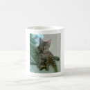 Search for lolcat mugs Cute