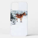 Search for snow fall iphone cases Falling