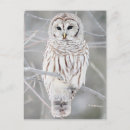 Search for strix postcards Animal