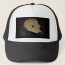 Search for wild designs hats Pets