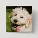 Search for panting badges Puppy