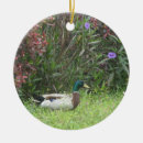 Search for duck christmas tree decorations Mallards